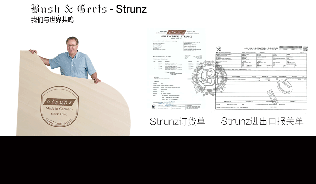 strunz音板.png